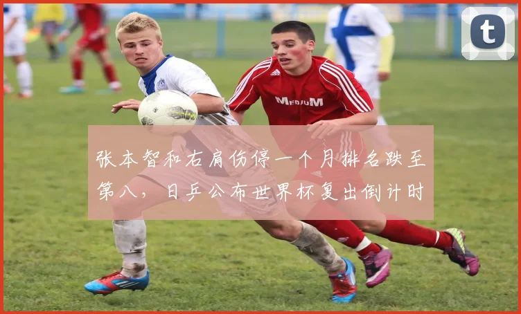 张本智和右肩伤停一个月排名跌至第八,日乒公布世界杯复出倒计时